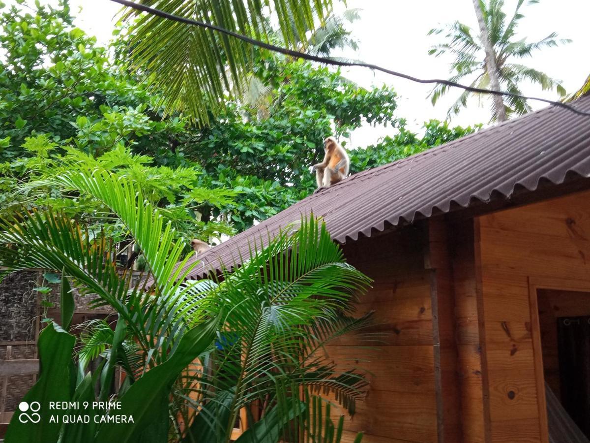 Hotel Magic World Palolem Exterior foto